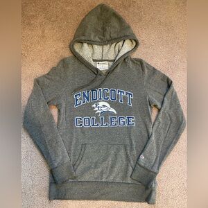 Champion Endicott Athletic Hoodie